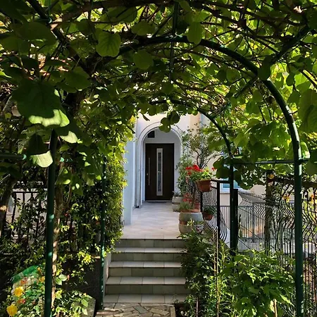 Апартаменты Danka