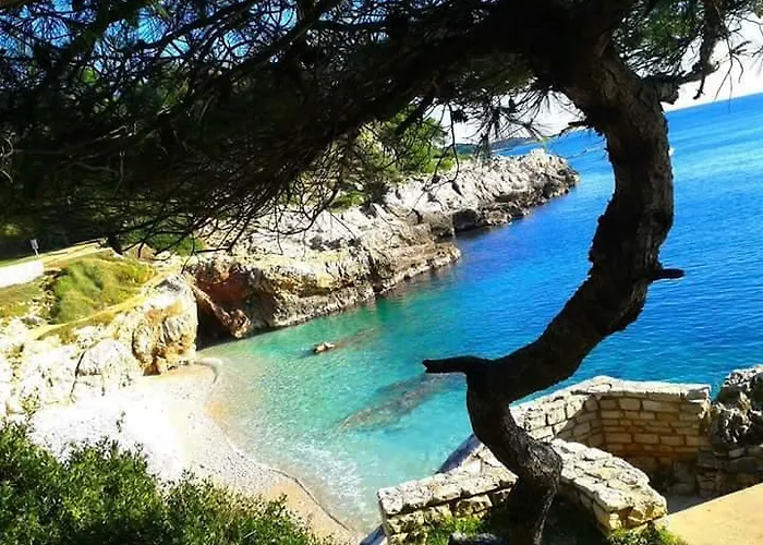 Danka Appartamento *