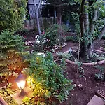 Danka Apartman *